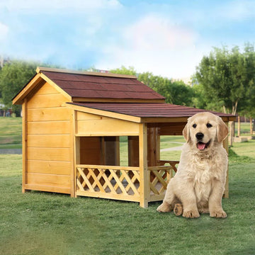 Dog Bed Wood Dog House