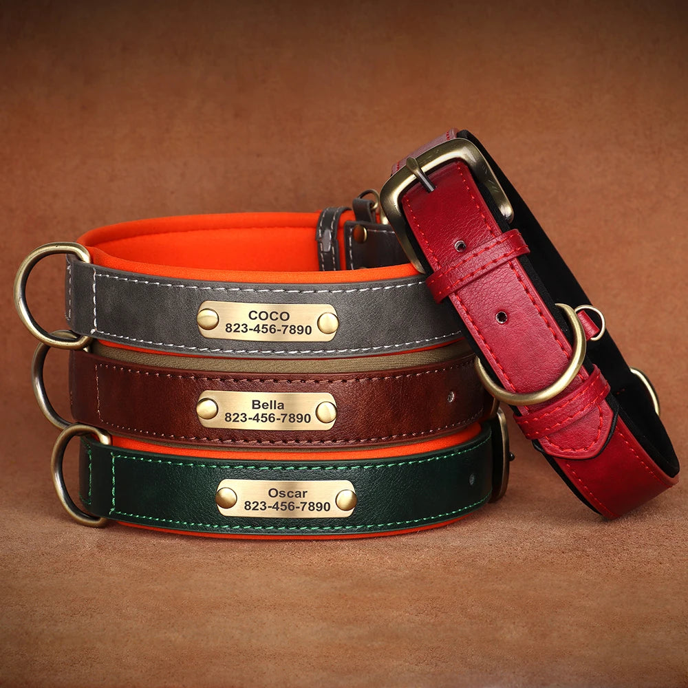 Personalized Dog Collar Leash