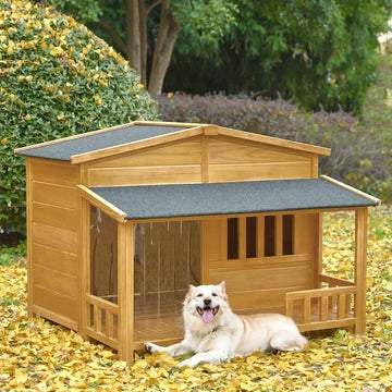 Dog Outdoor & Indoor House