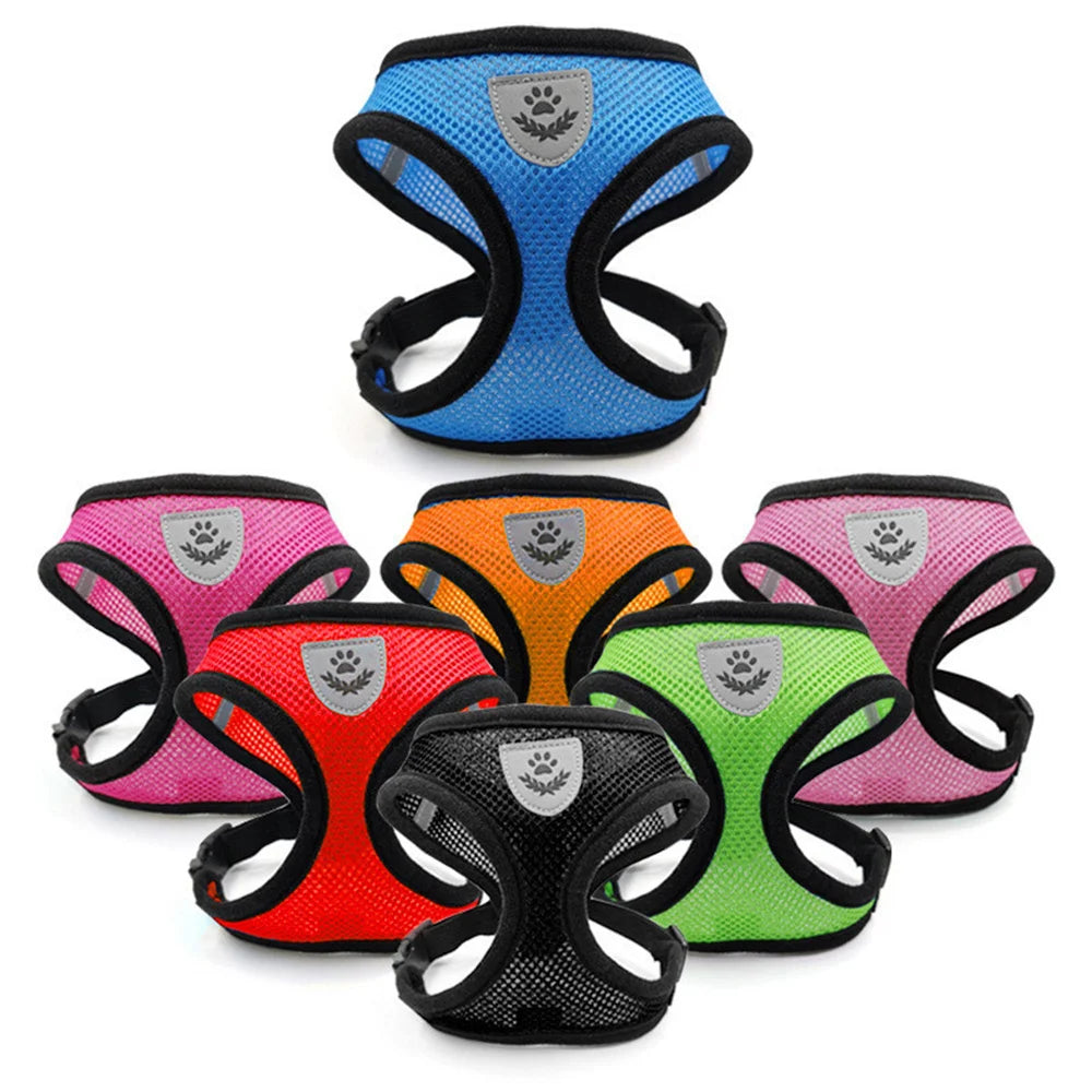 Cat Dog Harness With Lead Leash