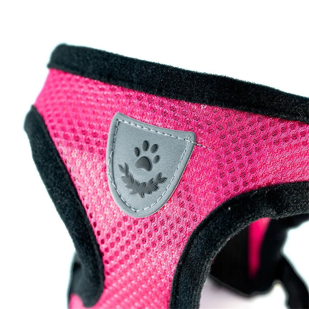 Cat Dog Harness With Lead Leash