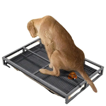 Large Dog Litter Stainless Steel Indoor