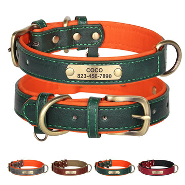 Personalized Dog Collar Leash