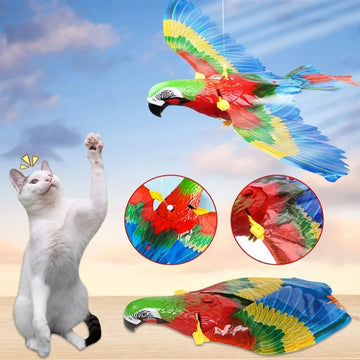Bird Interactive Cat Toys