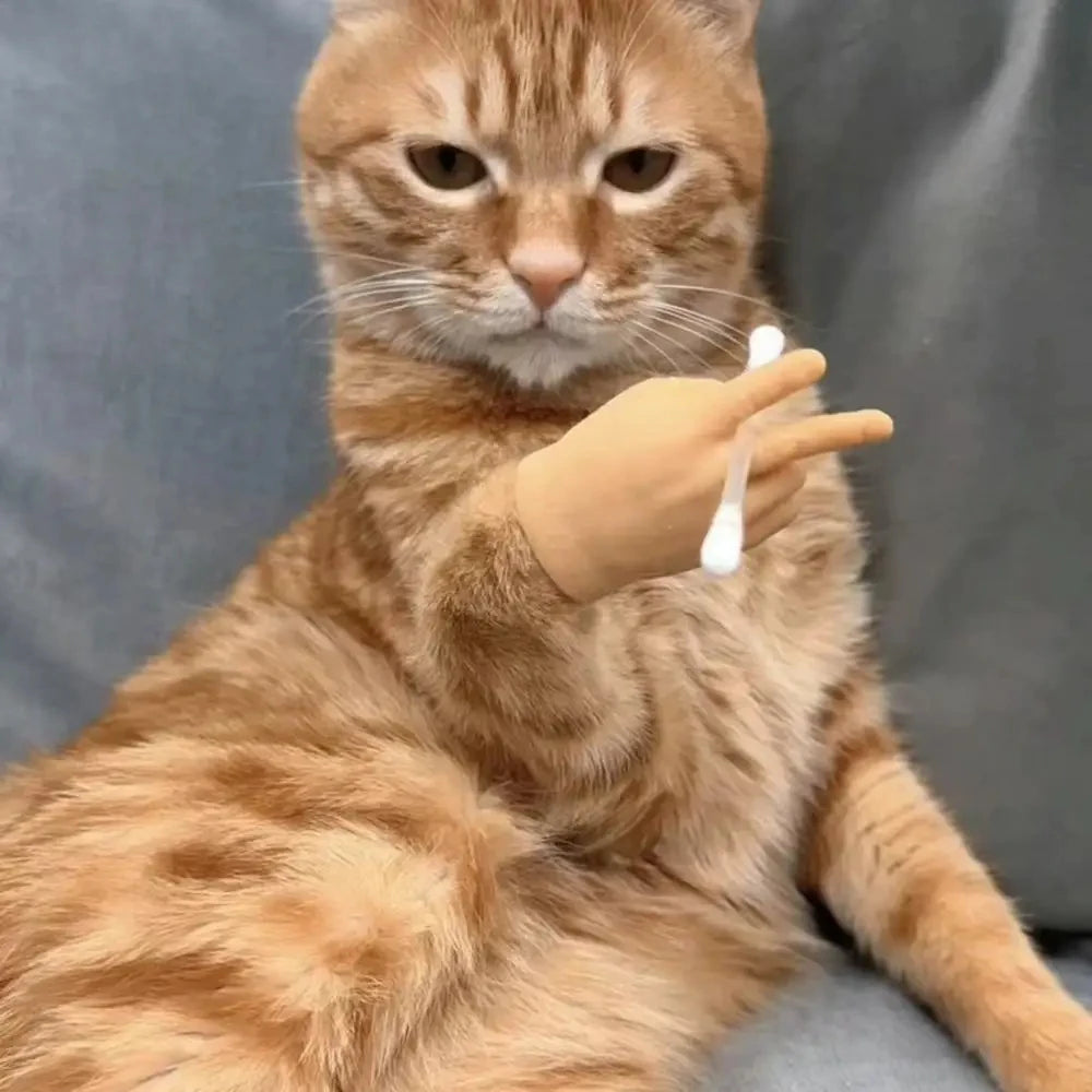 Cat TPR Soft Finger Gloves