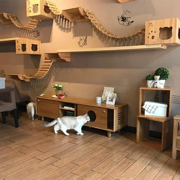 Indoor solid wood cheap wall mounted cat tree