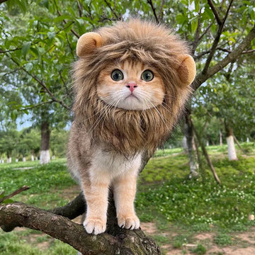 Lion Mane Cat Cute Wig Hat