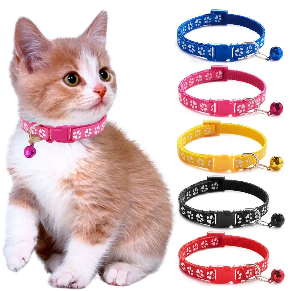 Pet Collar With Bell Cartoon