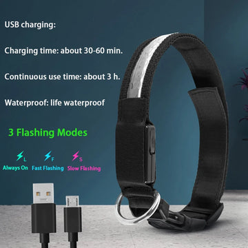 Flashing Dog Collar Personalized With Name LED Light